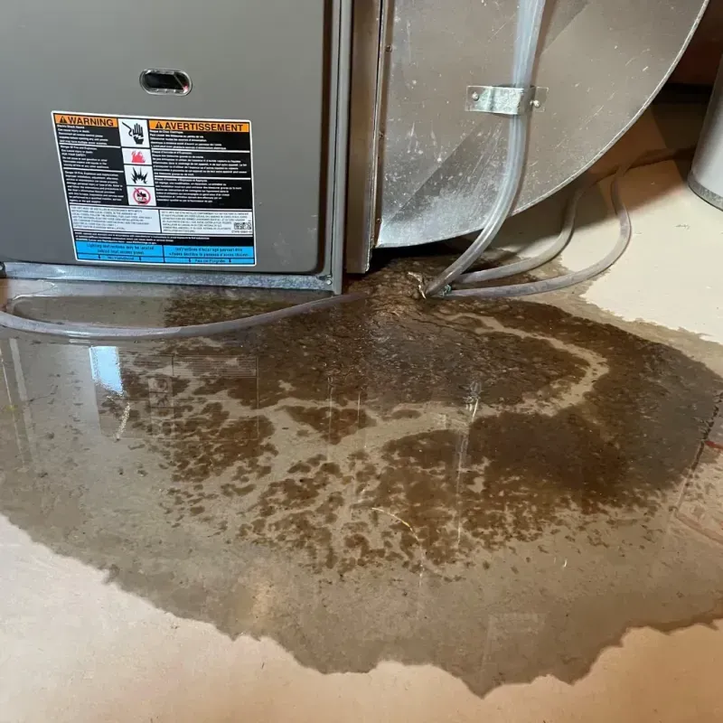 Appliance Leak Cleanup in Cherryville, NC